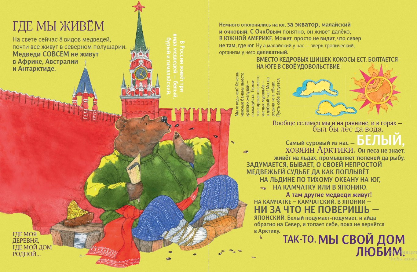 АЙАР / Чем хороши медведи