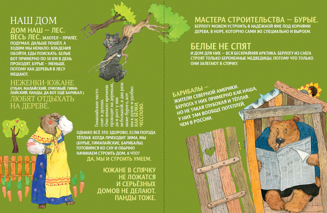 АЙАР / Чем хороши медведи