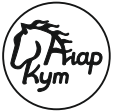 Айар Кут