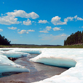 Булуус