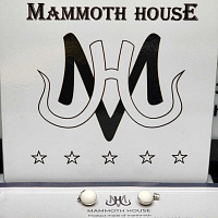 Mammoth HousE / Серьги-пусеты с серебром